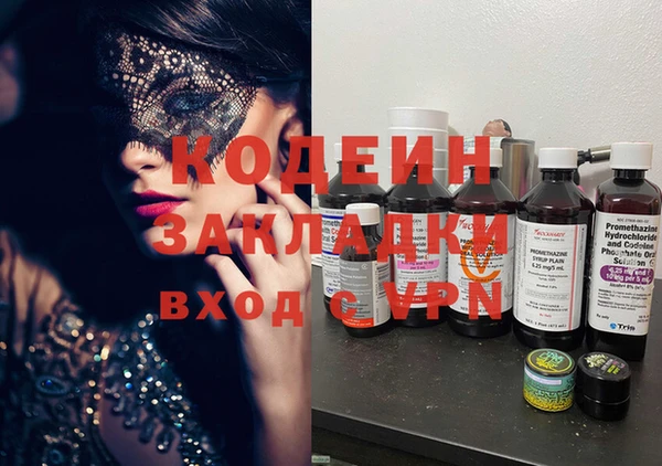 прущие грибы Каменногорск