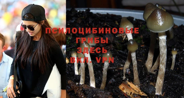 спайс Киренск