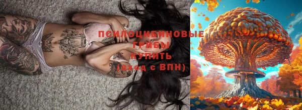 мдма Каменка