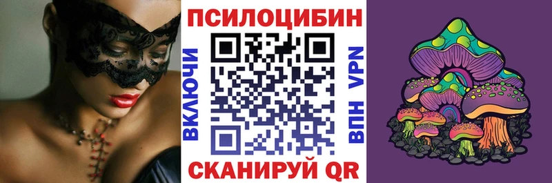 купить закладку  Ковдор  Галлюциногенные грибы Cubensis 